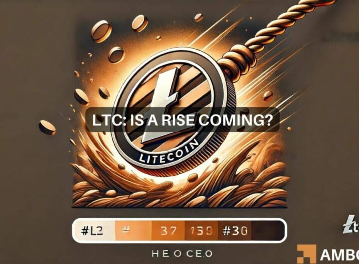 Is Litecoin in danger of falling to ? Breaking down the odds