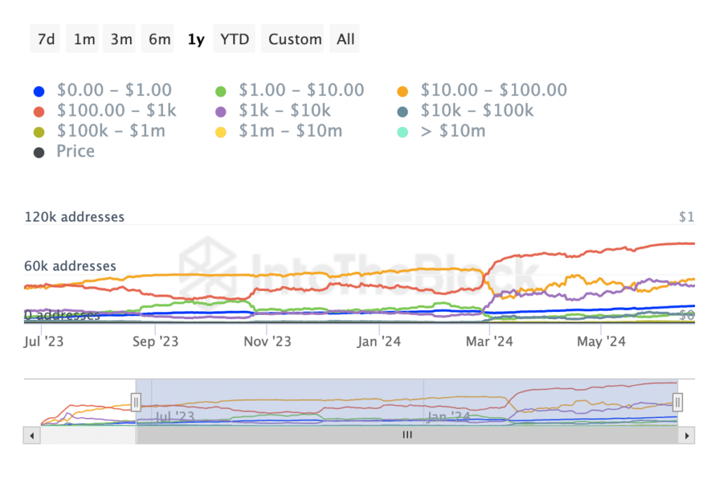 PEPE addresses by. holdings