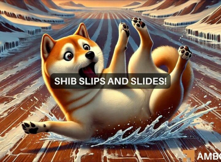 Shiba Inu surges 11% in 48 hours, but SHIB is not out of danger yet