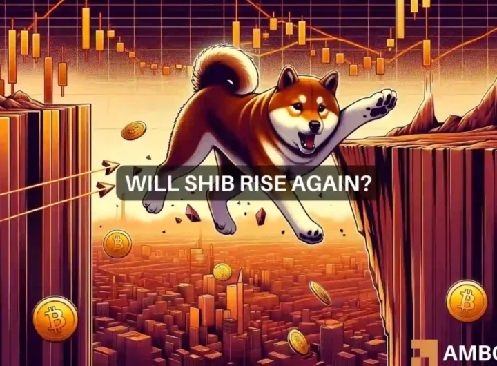 Why Shiba Inu’s fall to alt=