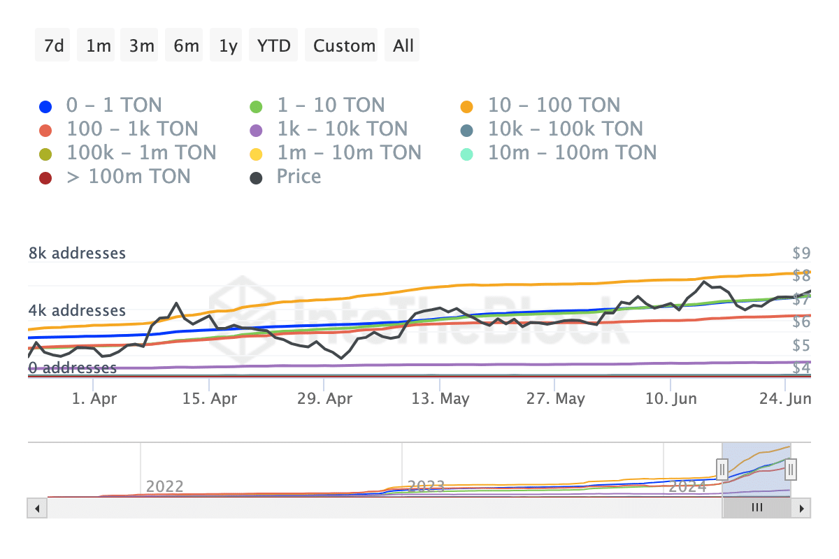 Toncoin addresses are increasing