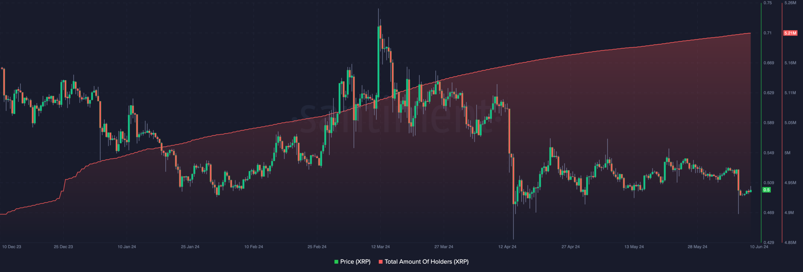 XRP rising holder count and price