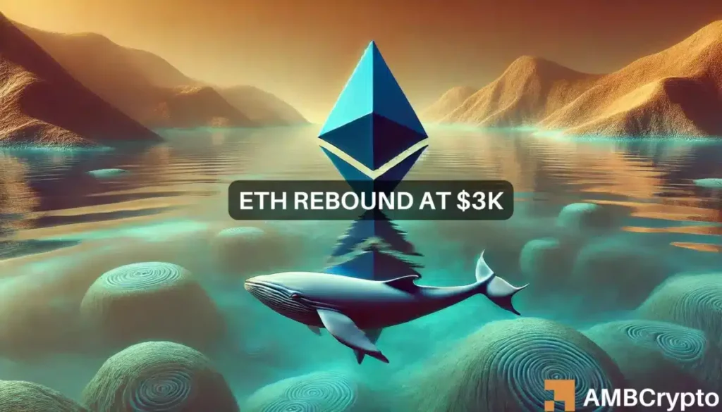 Ethereum: How whales failed to reverse ETH’s bearish trend