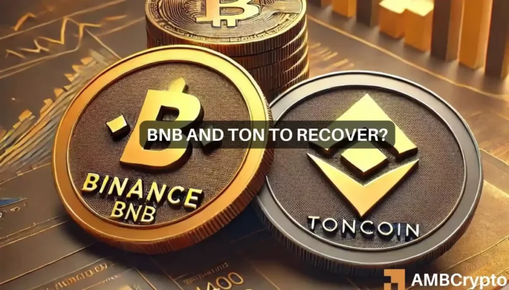 Binance, Toncoin shed gains: A rough start to the week for top cryptos