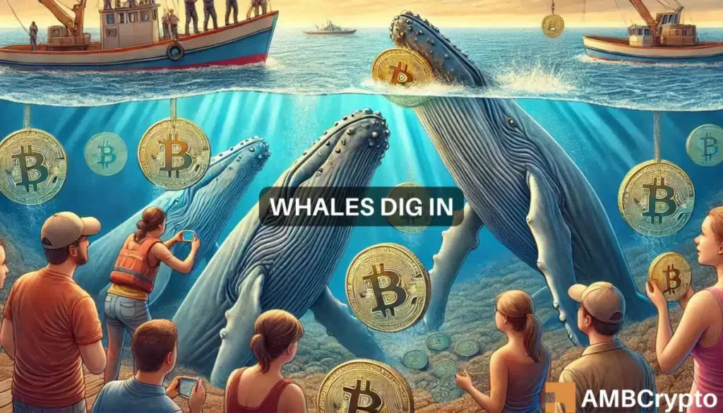 Bitcoin – Analyst reveals key buy zones as whales amass 358K BTC