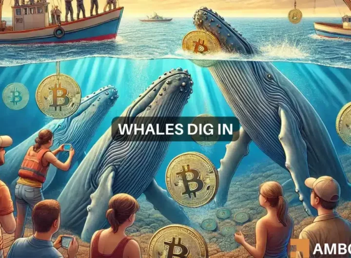 Bitcoin – Analyst reveals key buy zones as whales amass 358K BTC