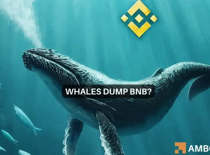 Binance whale knocks the altcoin down further: Will BNB ever recover?