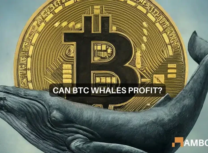 Bitcoin whales ‘buy the dip’ to leave retail investors…