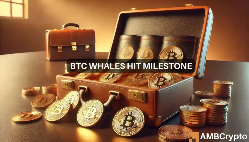 2-year high for Bitcoin’s whales – What does that mean for you?