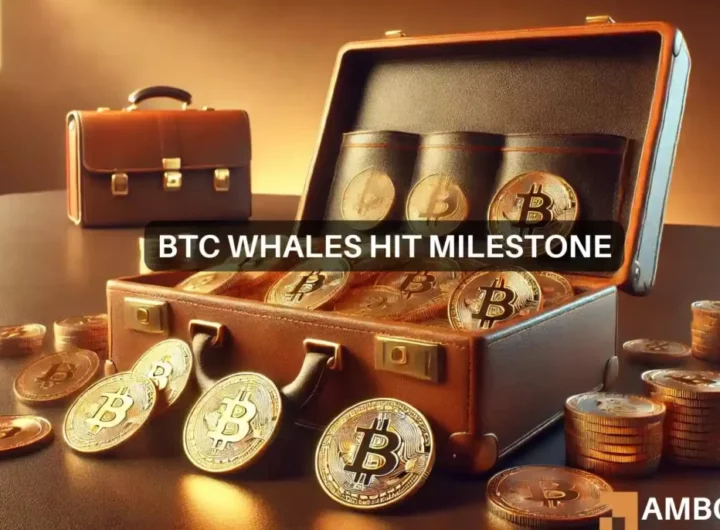 2-year high for Bitcoin’s whales – What does that mean for you?