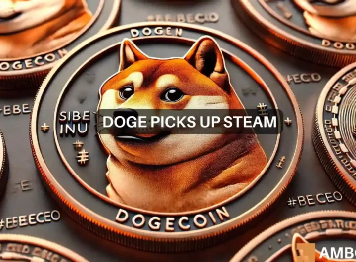 Dogecoin – How its MVRV may have saved its short-term price action