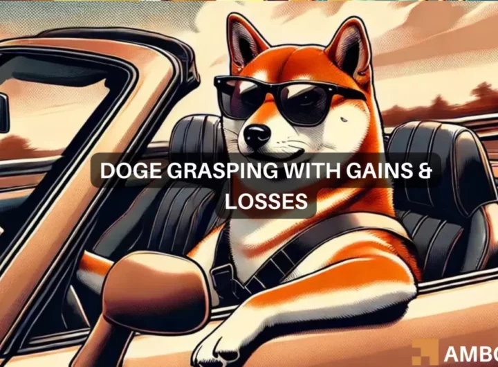 Dogecoin’s weekly hike – Most holders stay ‘In the Money’ despite…