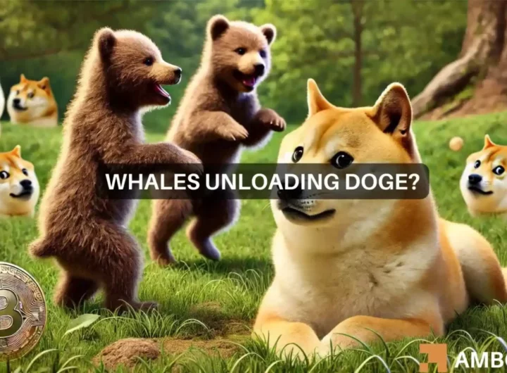 Dogecoin market watch: Is a rally possible amidst whale selling?