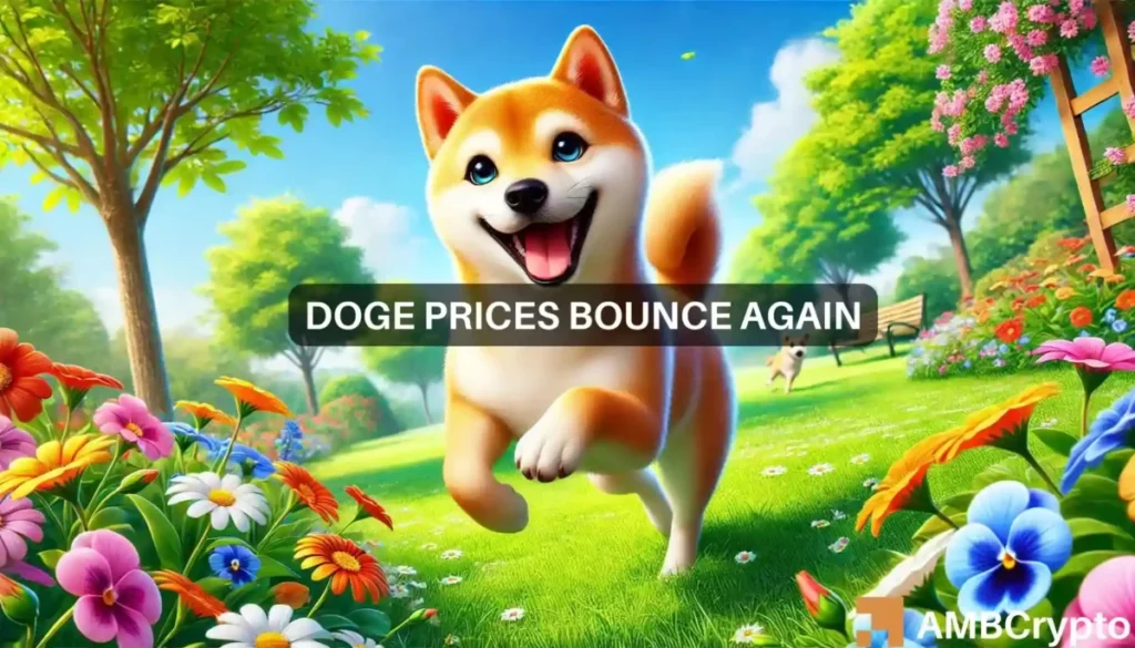 Dogecoin traders, look out for Bitcoin’s effect on the memecoin because…