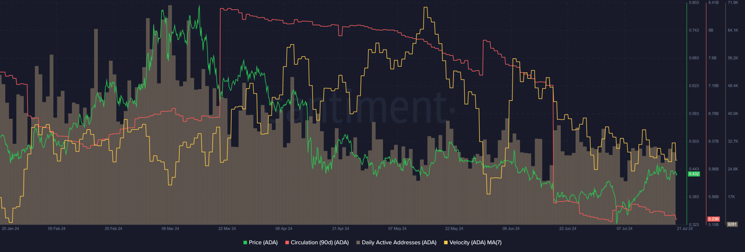 Cardano Circulation metrics