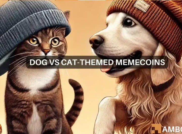 Dogs vs. cats rivalry take memecoins to  billion market cap