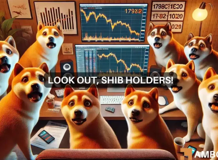 Shiba Inu’s price volatility – SHIB can hit these levels IF…