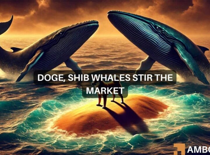 Dogecoin, Shiba Inu markets see volatility – Are whales the reason?