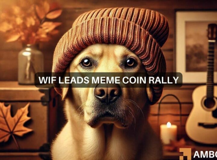 Dogwifhat sees 54% increase: A bullish signal for memecoins?