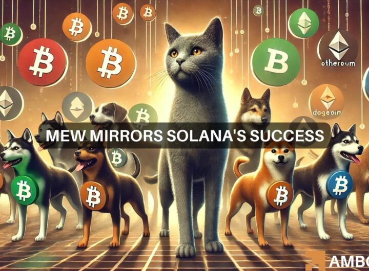 Why Solana’s MEW could be your top memecoin pick this week