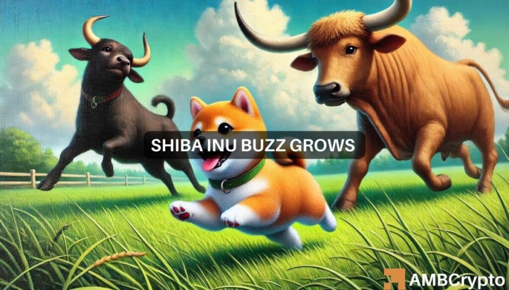 Checking Shiba Inu’s market dynamics: Volume woes vs. Bitcoin’s boost