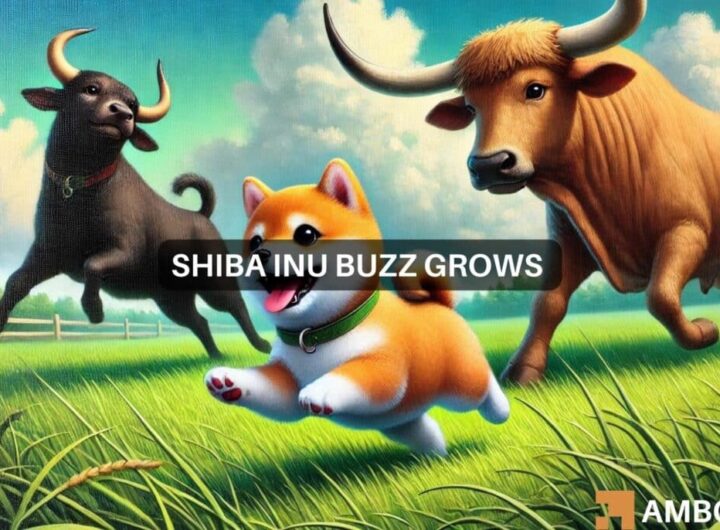 Checking Shiba Inu’s market dynamics: Volume woes vs. Bitcoin’s boost