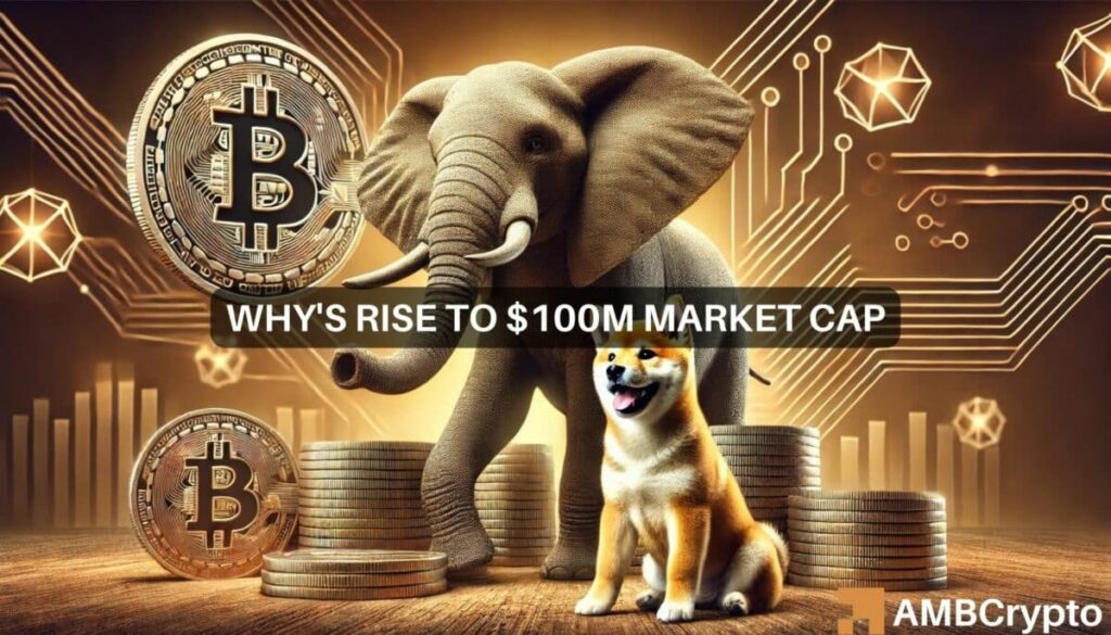 WHY memecoin: Can it be the next Dogecoin after touching 0M?