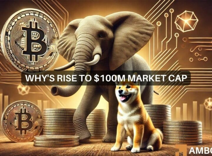 WHY memecoin: Can it be the next Dogecoin after touching 0M?