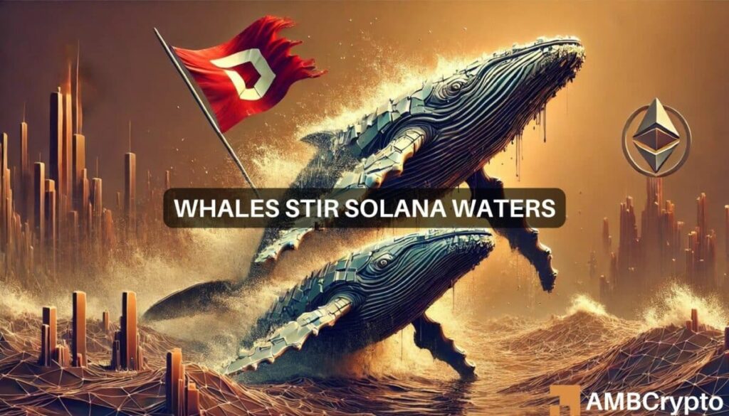 Solana’s M whale move raises red flags – Here’s why