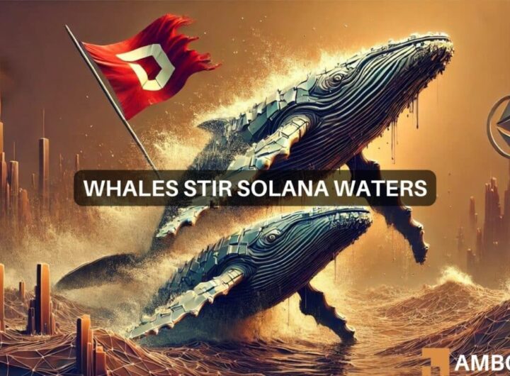 Solana’s M whale move raises red flags – Here’s why