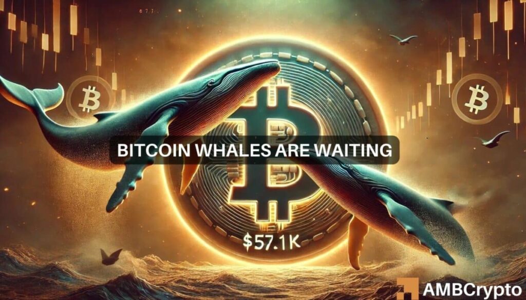 Bitcoin whales on the move at K – To buy or sell?