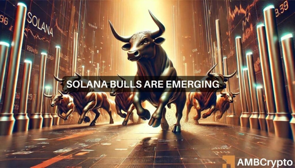 Solana traders, watch out! Volatility expected between THESE key levels