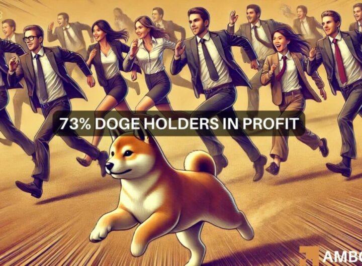 Dogecoin: 73% of holders in profit, but market indicators predict…