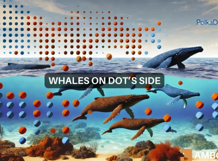 How and why DOT’s whales dictated altcoin’s 9% price hike