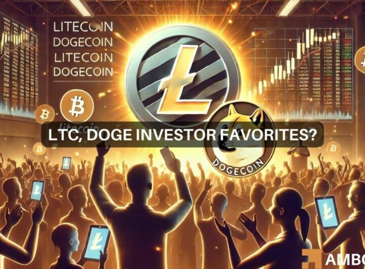 How Litecoin, Dogecoin are winning the altcoin adoption race