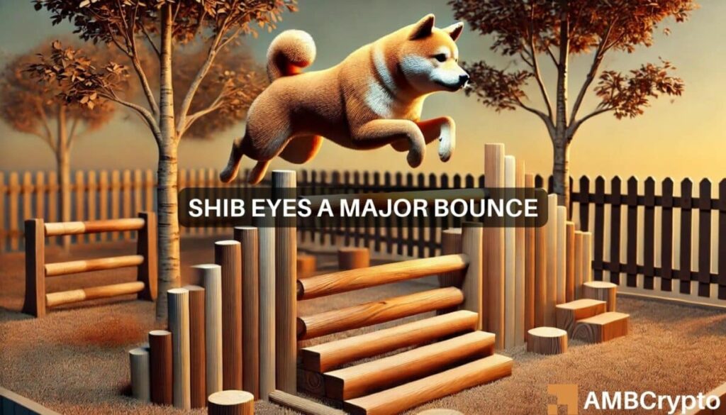 Shiba Inu set for a 2x rally? Market interest signals bullish breakout