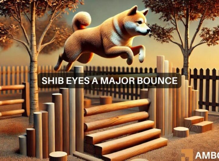 Shiba Inu set for a 2x rally? Market interest signals bullish breakout