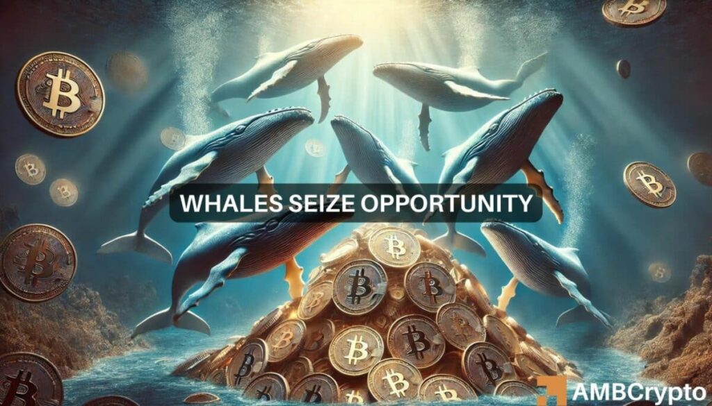 Bitcoin slides below k: Here’s what whales are up to