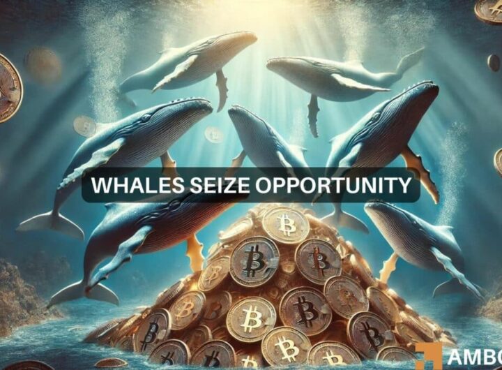 Bitcoin slides below k: Here’s what whales are up to