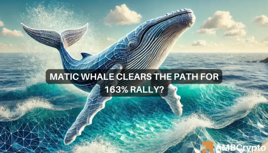 MATIC set for explosive 163% rally? Whale moves spark bullish hopes