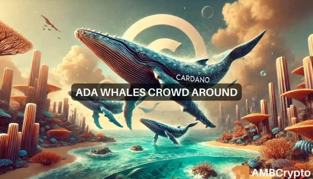 Cardano whale activity surges 1218% in 7 days – What about ADA?