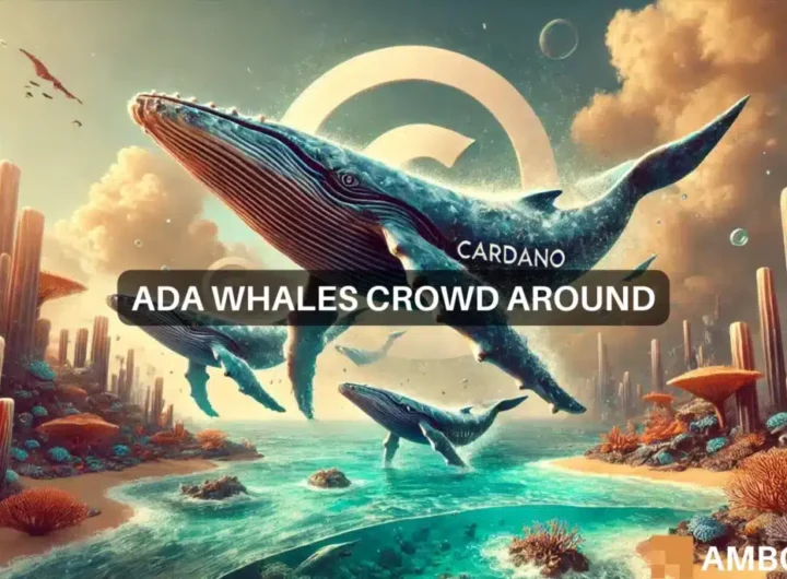 Cardano whale activity surges 1218% in 7 days – What about ADA?