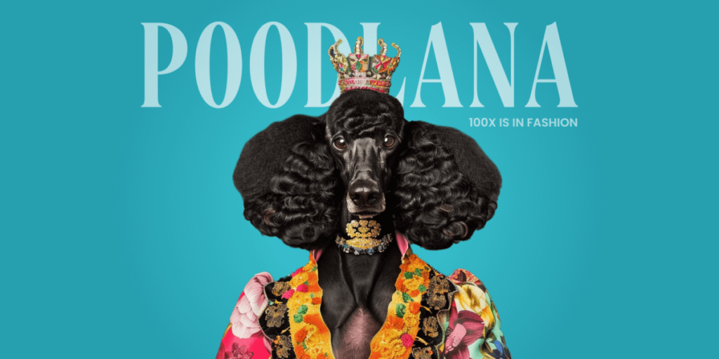 24-Hour Countdown: Asia Awaits Poodlana’s Launch