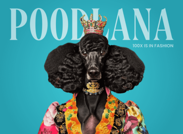 24-Hour Countdown: Asia Awaits Poodlana’s Launch