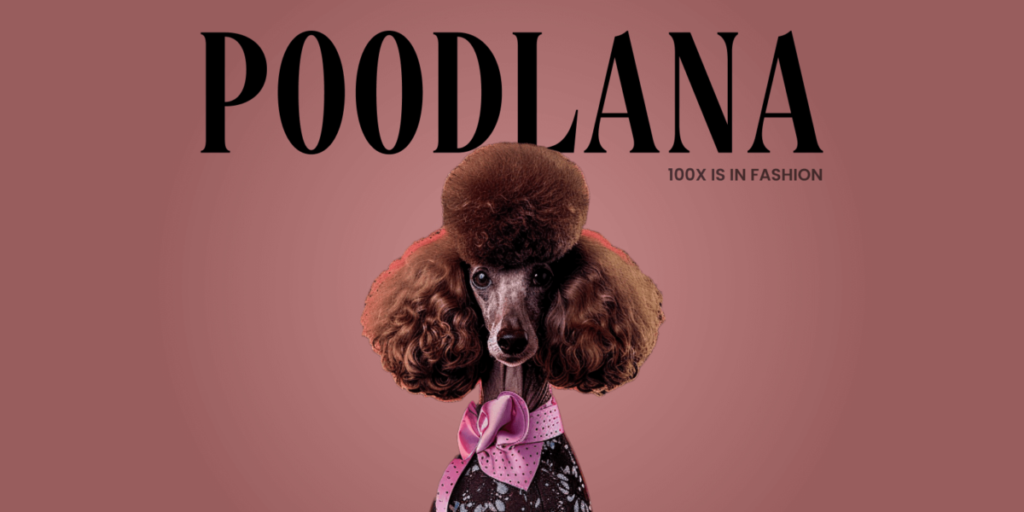 Poodlana’s Rapid Rise: m Raised in Less Than a Day