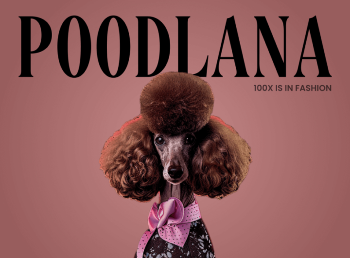 Poodlana’s Rapid Rise: m Raised in Less Than a Day