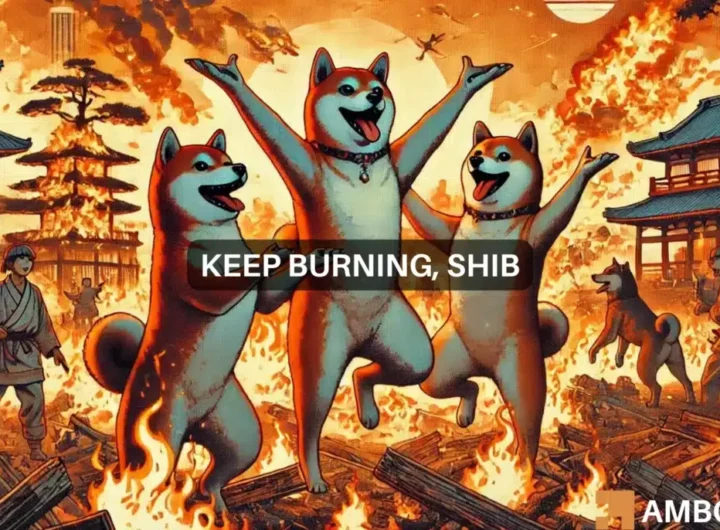 Why Shiba Inu’s 482% burn rate surge wasn’t enough for SHIB’s price