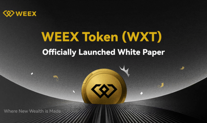 Crypto Innovation Unleashed in 2025: WEEX Token (WXT) White Paper Charts a Bold New Course