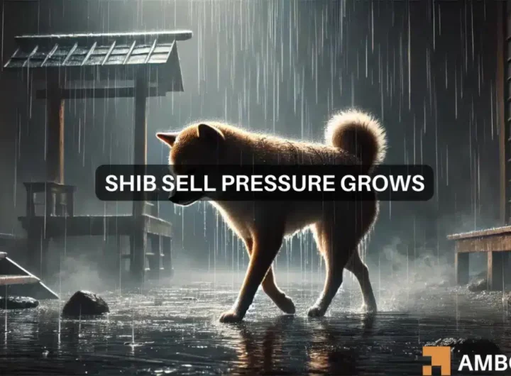 Shiba Inu price prediction: Why August could be risky for SHIB traders