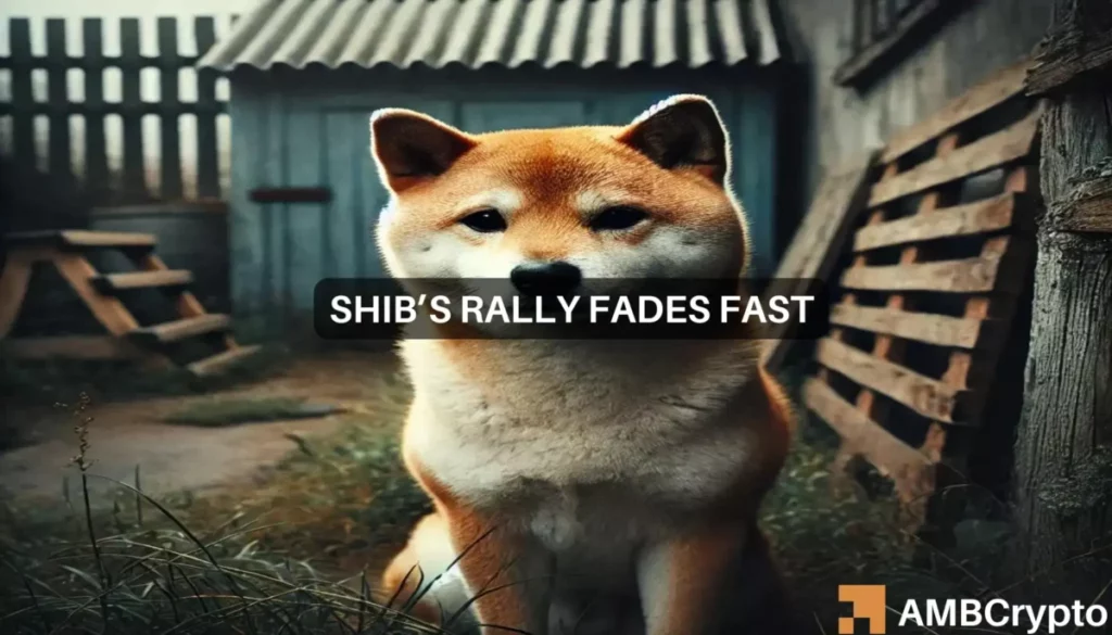 Shiba Inu price prediction: Why traders should brace for more losses